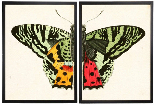 Diptych Green Butterfly Framed Art (SET OF 2)